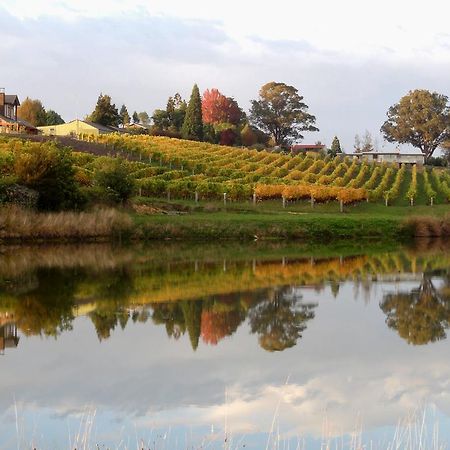 Pine Hill Lodge In Vineyard Mapua Екстериор снимка