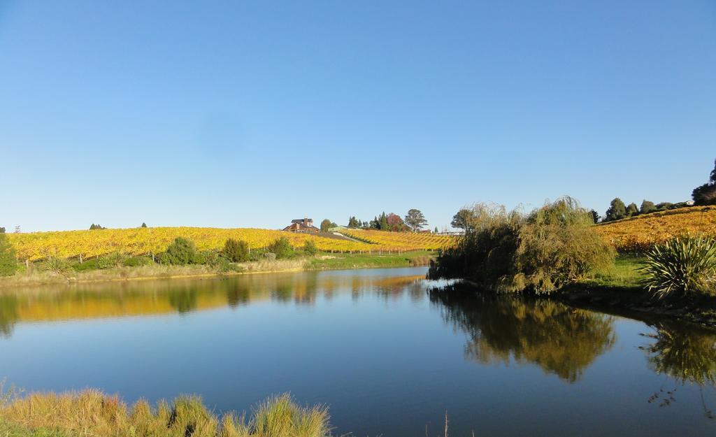 Pine Hill Lodge In Vineyard Mapua Екстериор снимка