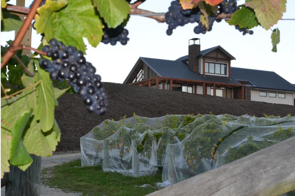Pine Hill Lodge In Vineyard Mapua Екстериор снимка