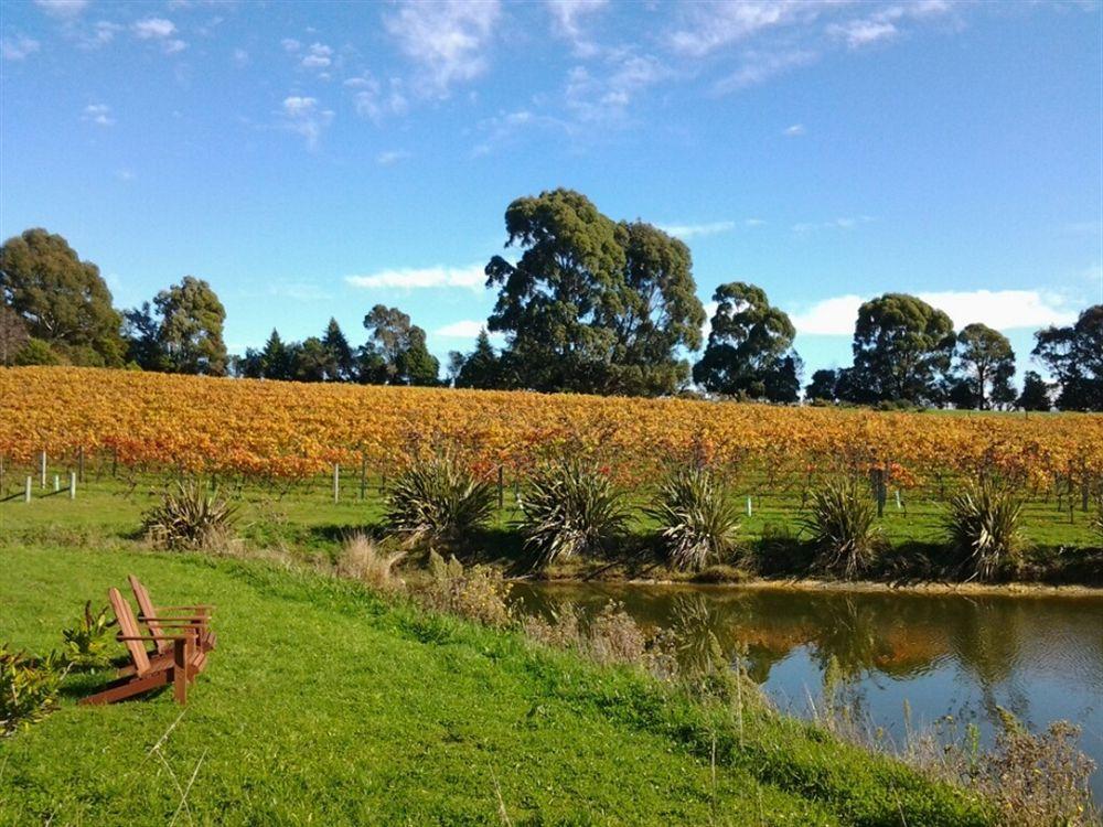 Pine Hill Lodge In Vineyard Mapua Екстериор снимка